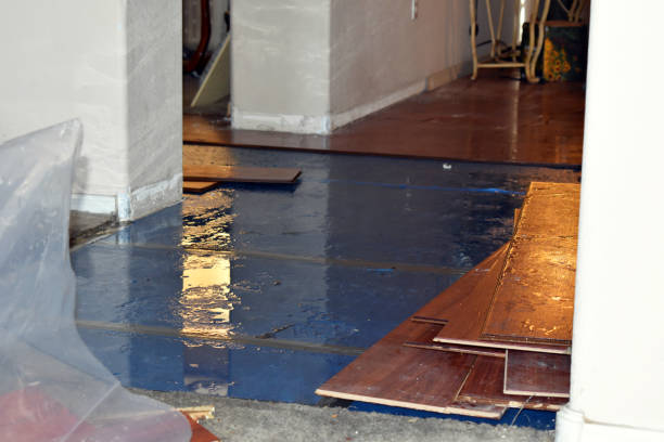 Professional Basement Water Removal technician working in Penrose, NC