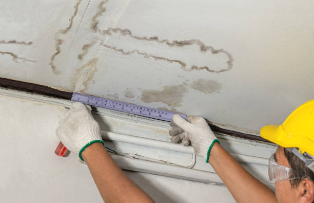 Reliable Basement Water Removal contractor in Penrose, NC by Water Damage Irwin